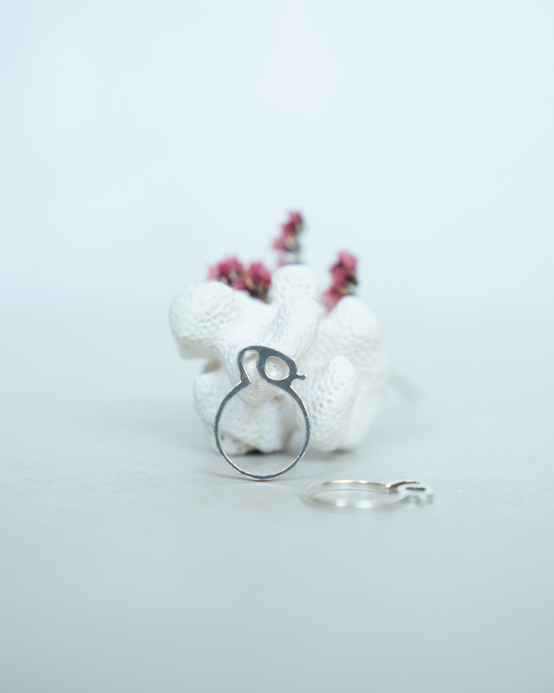 Anillo ALÉALU