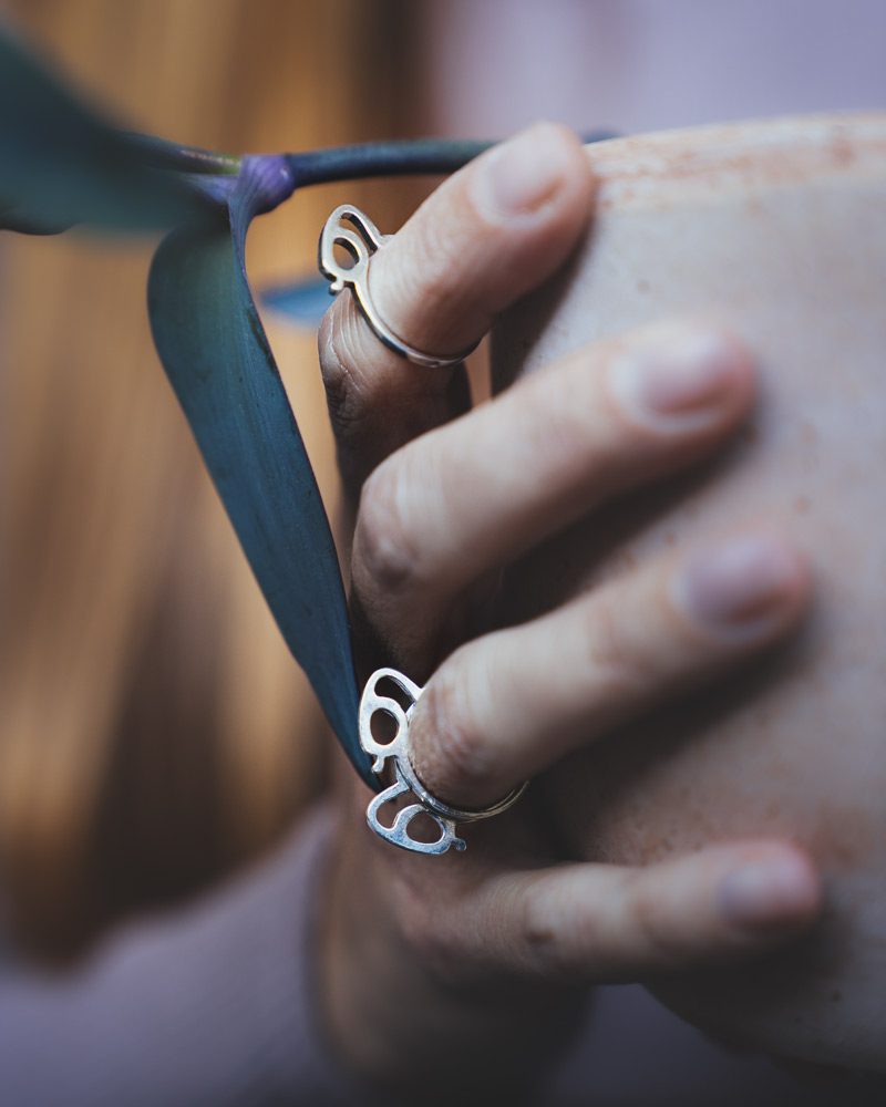 Anillo ALÉALU